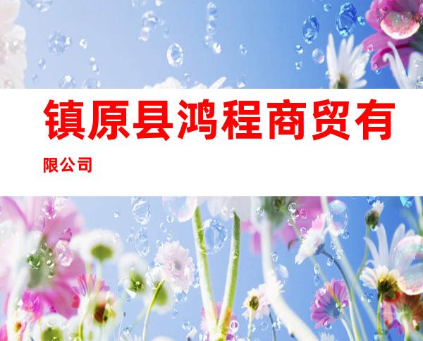 镇原县鸿程商贸有限公司